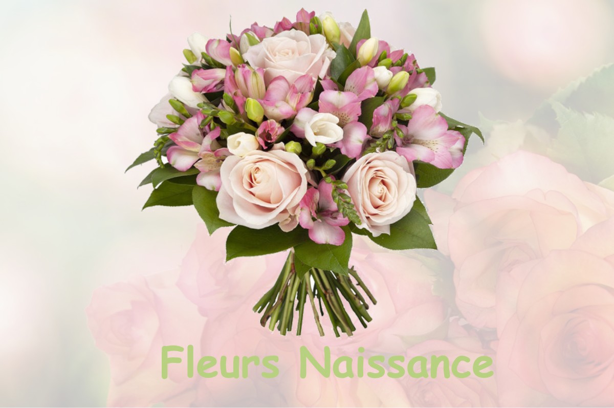 fleurs naissance DALUIS