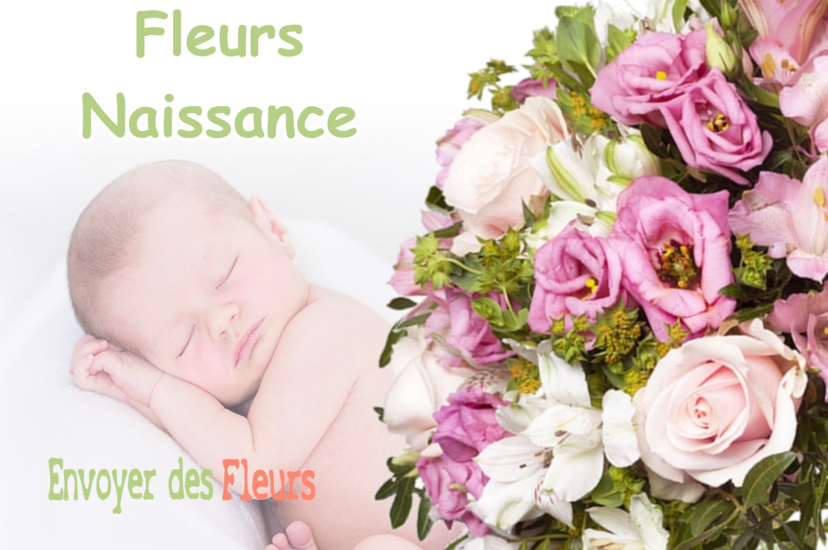 lIVRAISON FLEURS NAISSANCE à DALUIS